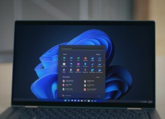 Windows 11 KB5044384 update