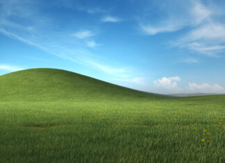 Windows XP Bliss Wallpaper 4K